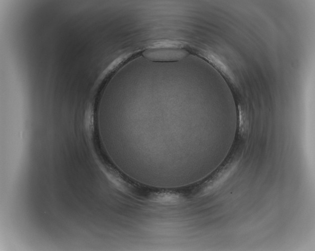 X0000110730348200906121453