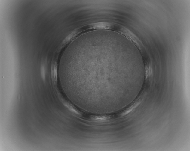 X0000110730349200906121453