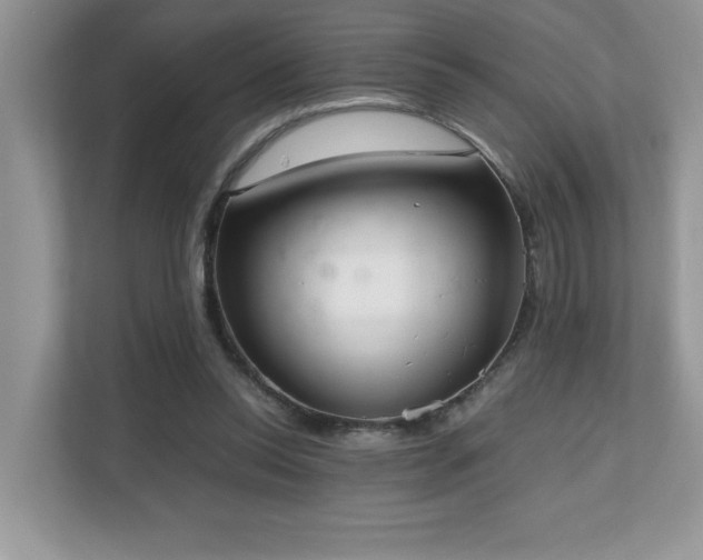 X0000110730350200906121453