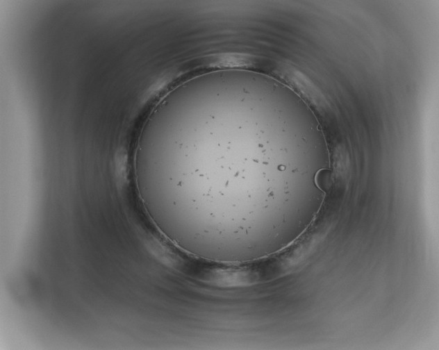 X0000110730351200906121453