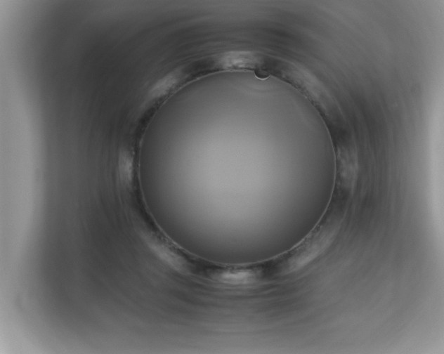 X0000110730357200906121453