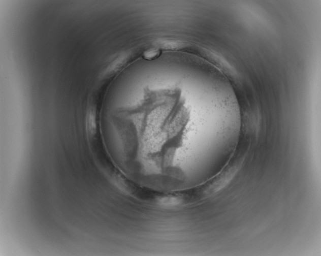 X0000110730358200906121453