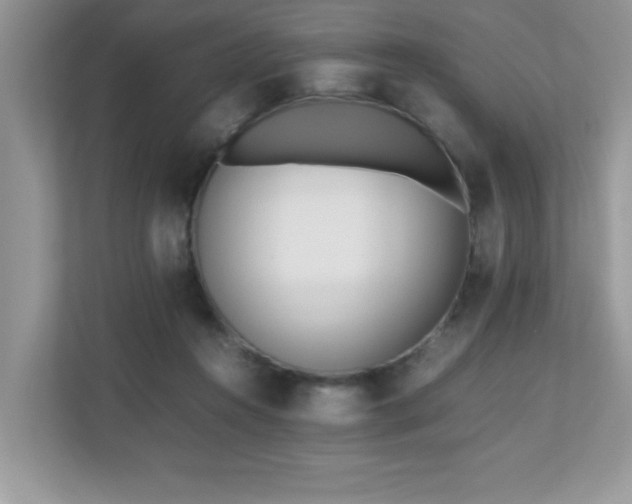X0000110730360200906121453