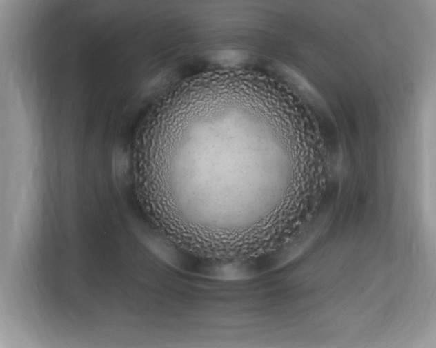 X0000110730365200906121453