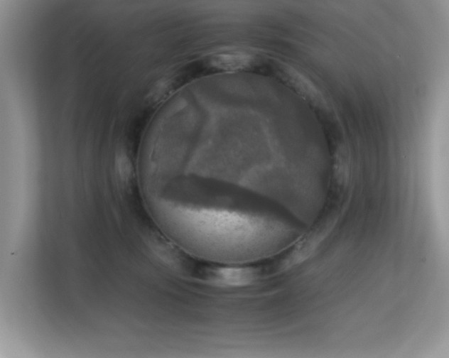 X0000110730371200906121453