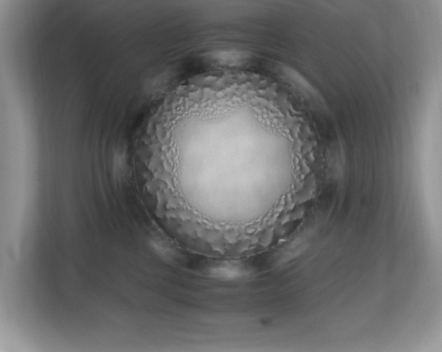 X0000110730377200906121453