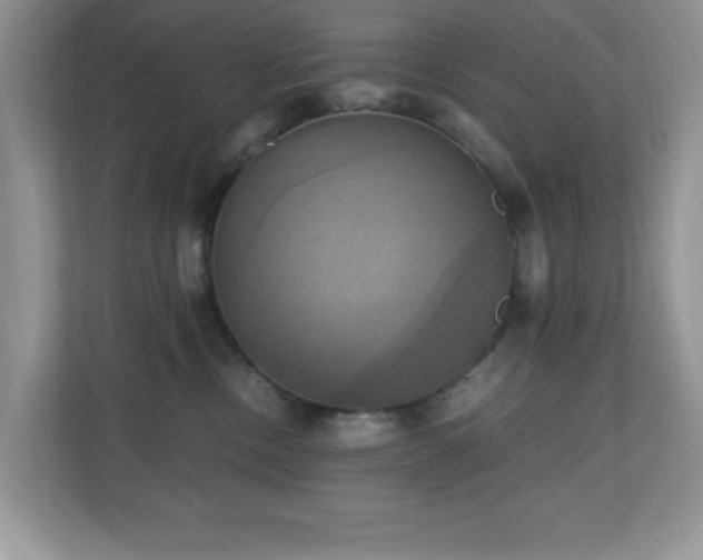 X0000110730378200906121453