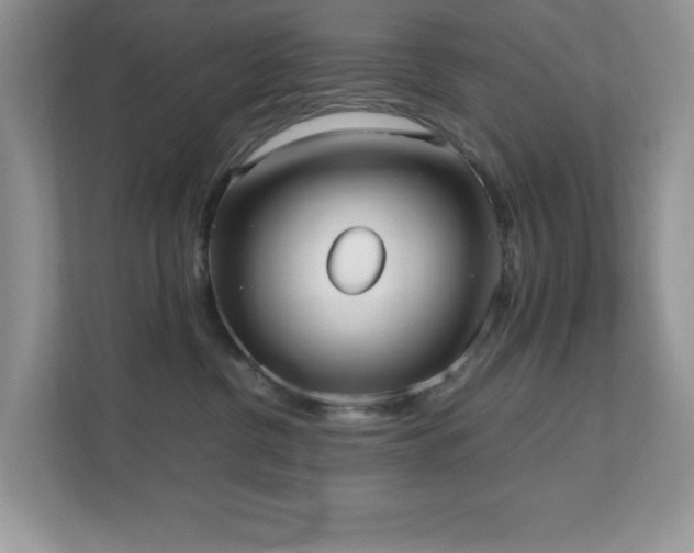 X0000110730380200906121453