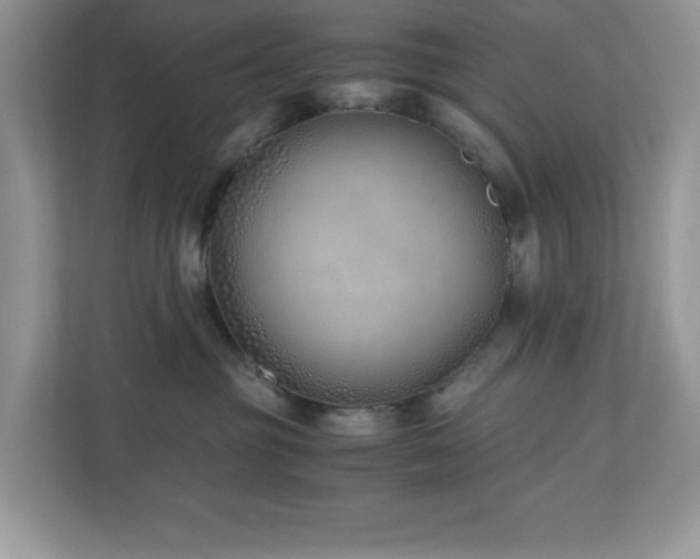 X0000110730381200906121453