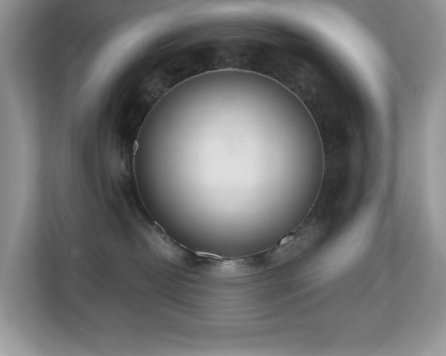 X0000110730382200906121453