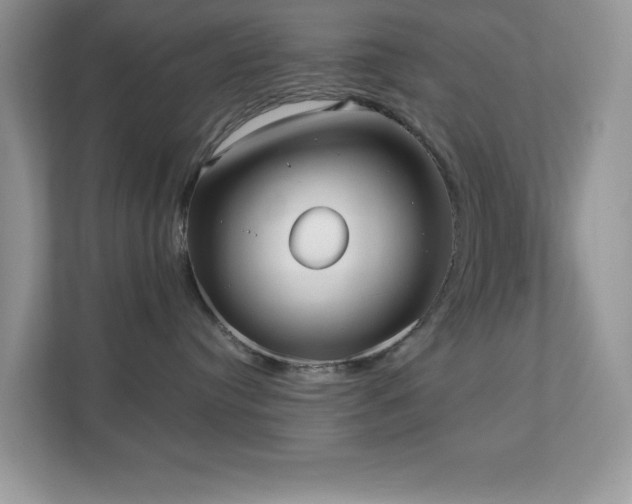 X0000110730384200906121453