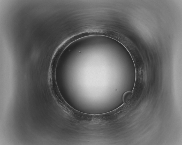 X0000110730388200906121453