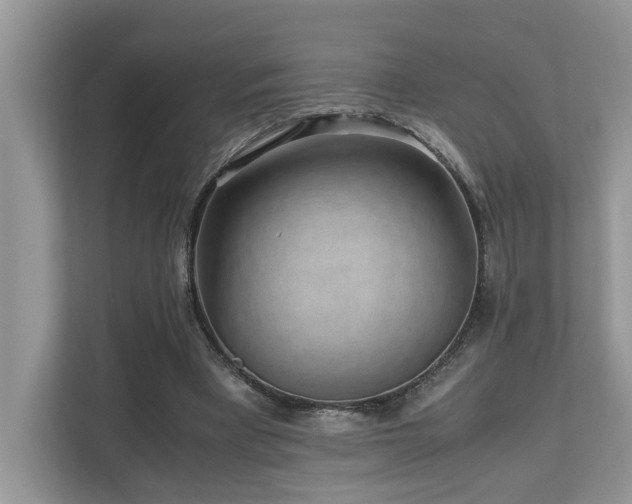 X0000110730393200906121452