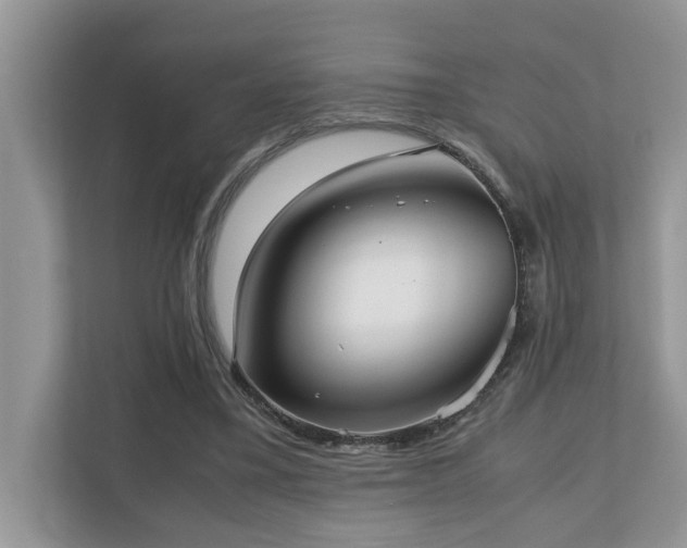 X0000110730395200906121452