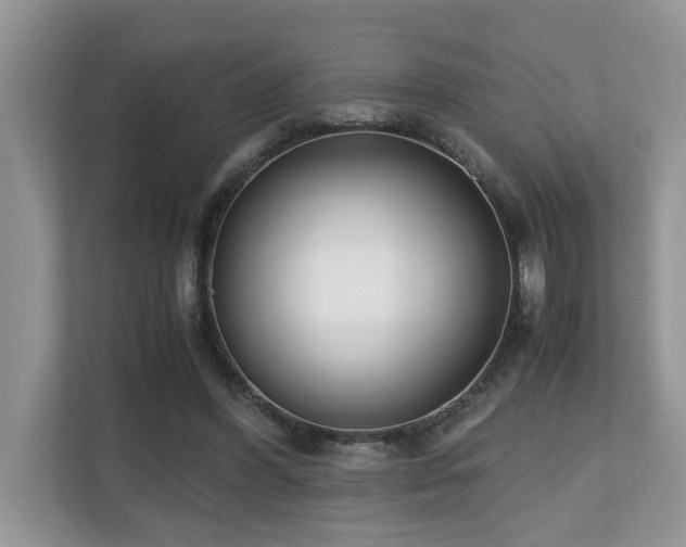 X0000110730396200906121452