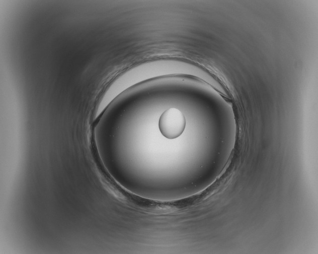 X0000110730397200906121452