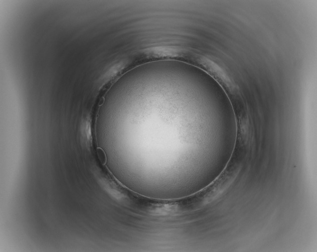 X0000110730398200906121452
