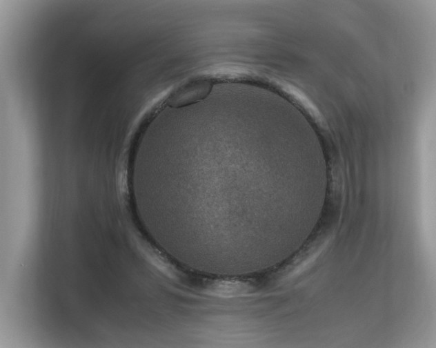 X0000110730399200906121452