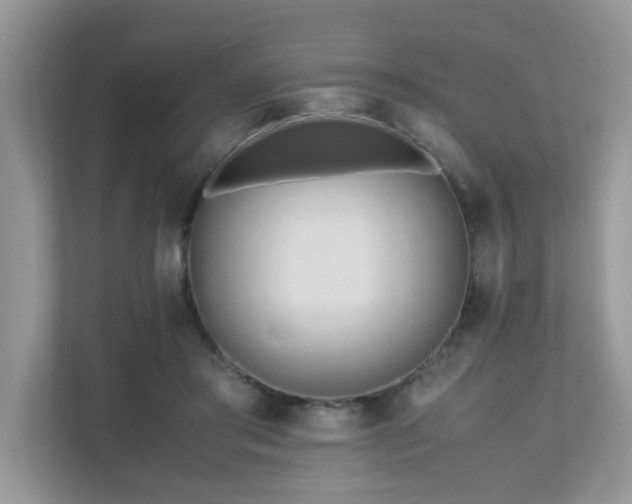 X0000110730405200906121452