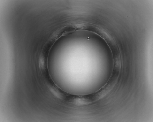 X0000110730408200906121452