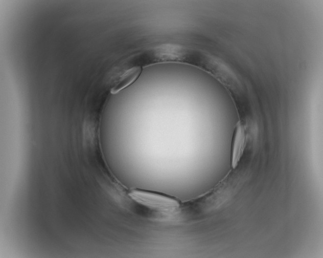 X0000110730409200906121452
