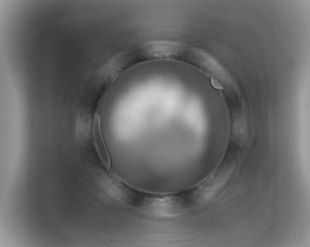 X0000110730411200906121452