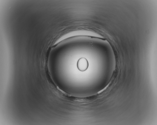 X0000110730417200906121452