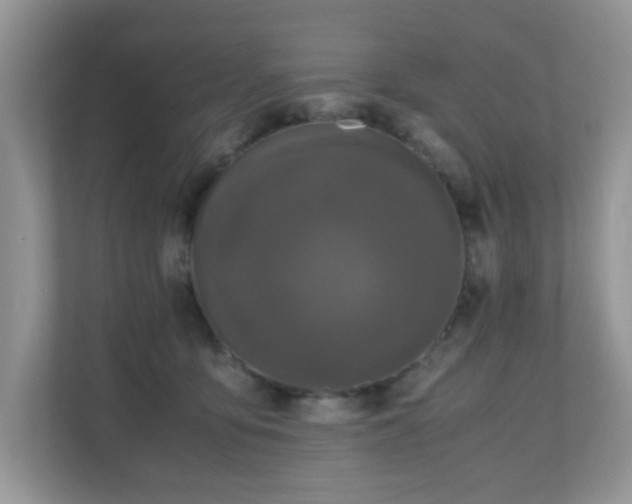 X0000110730419200906121452