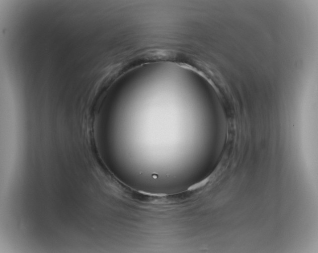 X0000110730423200906121452