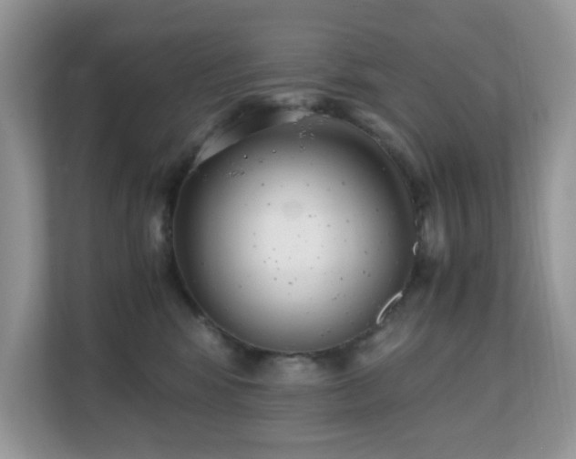 X0000110730424200906121452