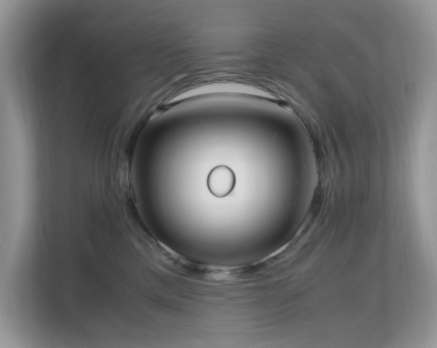 X0000110730425200906121452