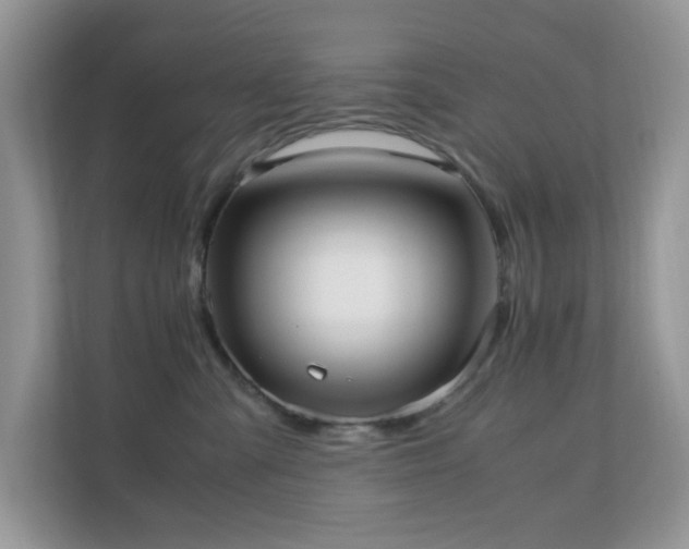 X0000110730427200906121452