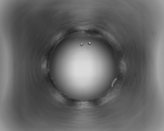 X0000110730428200906121452
