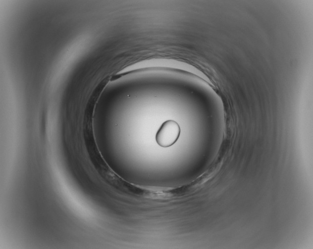 X0000110730429200906121452
