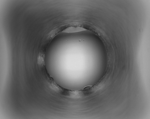 X0000110730432200906121452