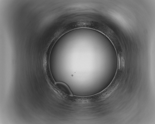 X0000110730435200906121451