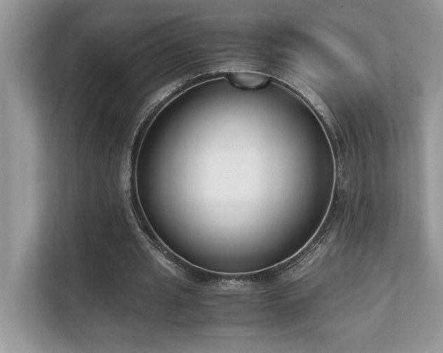 X0000110730437200906121451