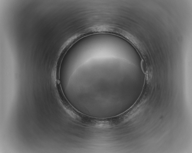 X0000110730438200906121451