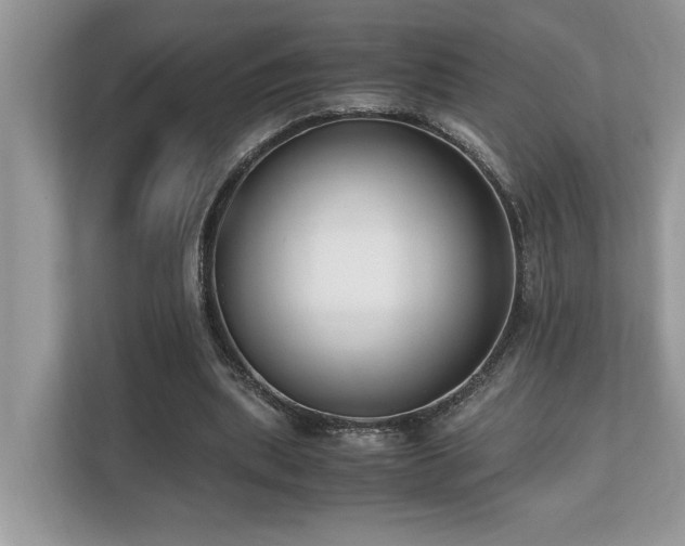 X0000110730439200906121451