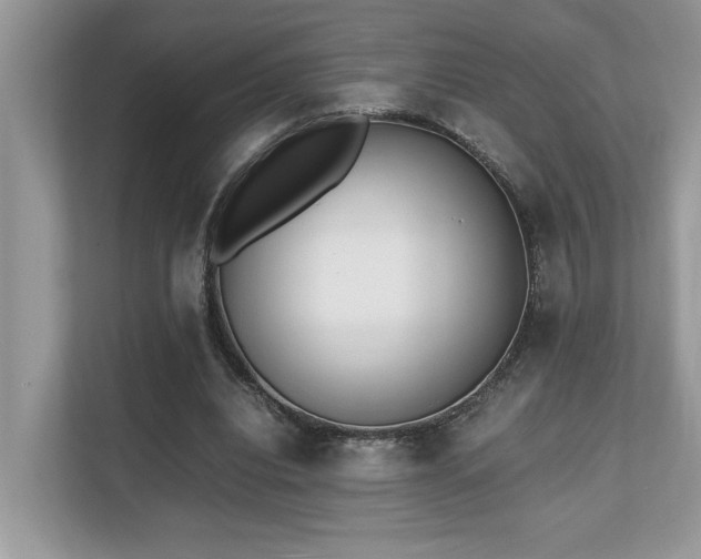 X0000110730440200906121451