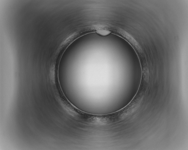 X0000110730442200906121451