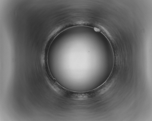 X0000110730443200906121451