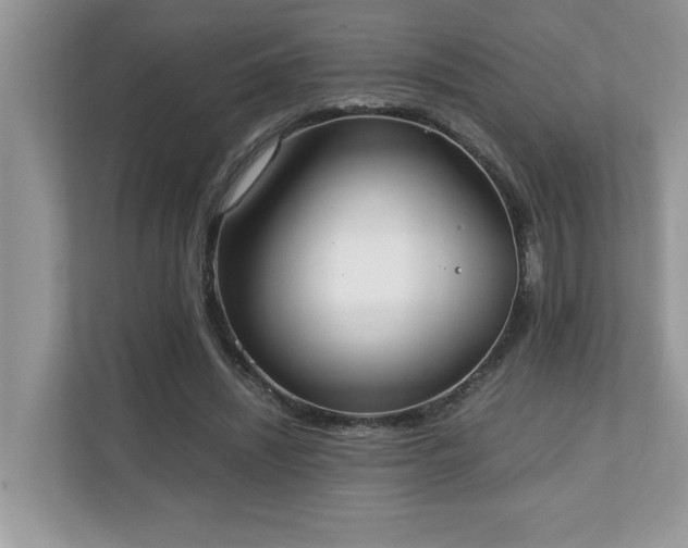 X0000110730444200906121451