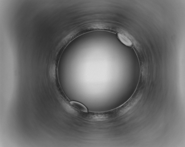 X0000110730445200906121451