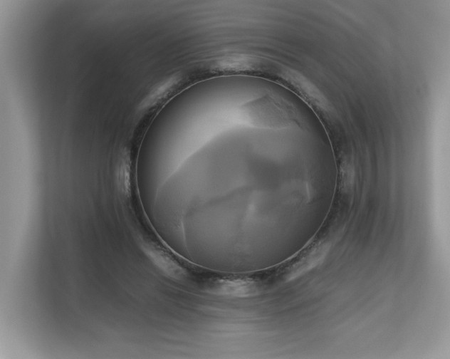 X0000110730446200906121451