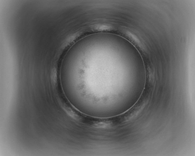 X0000110730447200906121452