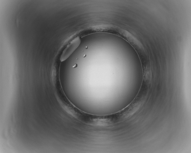 X0000110730448200906121452