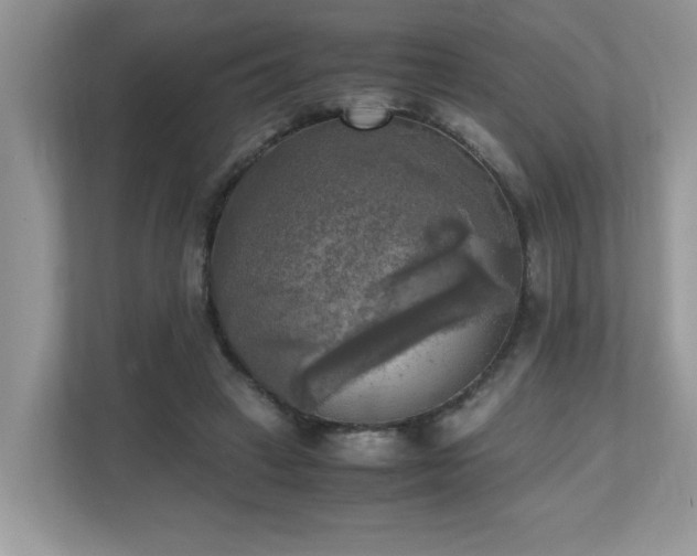 X0000110730449200906121452