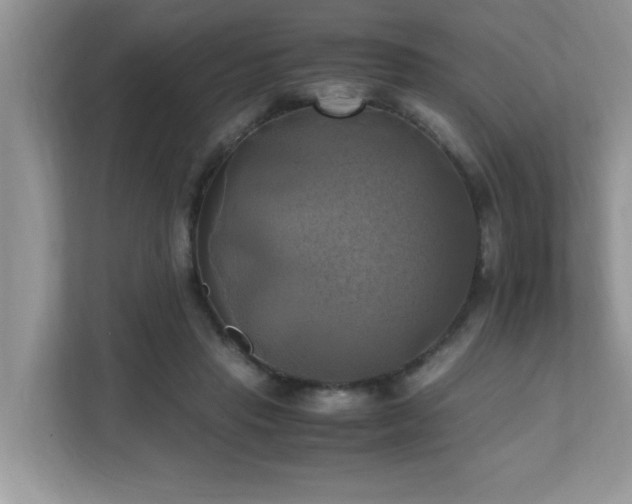 X0000110730453200906121452