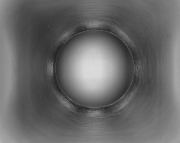 X0000110730454200906121452